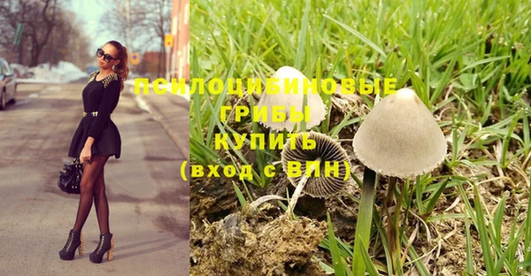 МДПВ Зеленокумск
