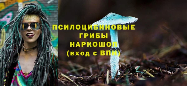 МДПВ Зеленокумск