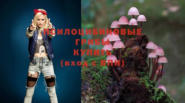 MDMA Зерноград
