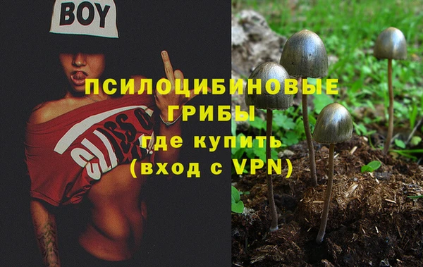 МДПВ Зеленокумск