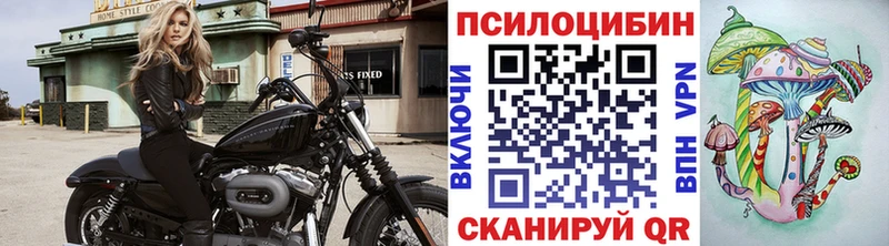 Псилоцибиновые грибы Psilocybe Купить Елизово