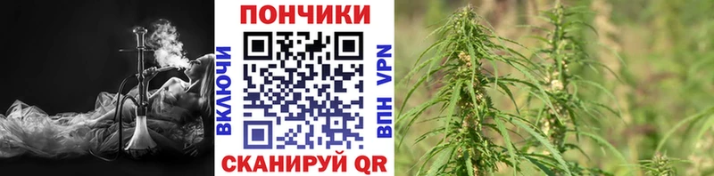 Купить закладки  Елизово  МАРИХУАНА марихуана 